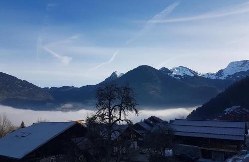 Saint-Jean-dʼAulps Apartamento | Comfort and nature - Ideal stay 200m from slopes