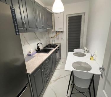 Ciurea Apartamento | Comfort Apartament