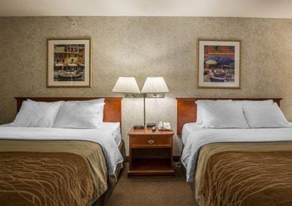 South Lethbridge Hotel | Comfort Inn