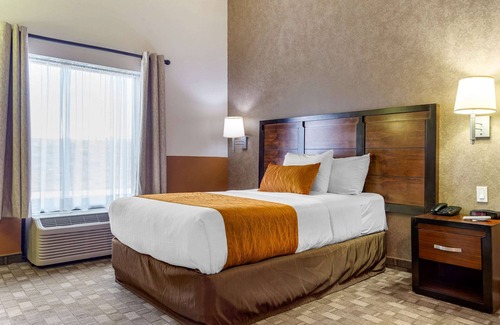 Chihuahua Hotel | Comfort Inn Chihuahua