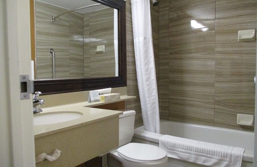 Dartmouth Hotel | Comfort Inn Dartmouth