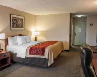 Indianapolis Hotel | Comfort Inn Indianapolis South I-65