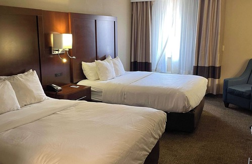 Indianapolis Hotel | Comfort Inn Indianapolis South I-65