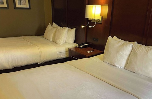 Indianapolis Hotel | Comfort Inn Indianapolis South I-65