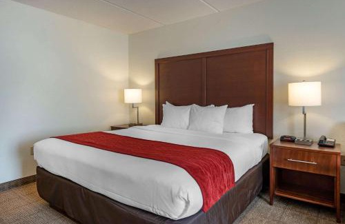 Kissimmee Hotel | Comfort Inn Kissimmee-Lake Buena Vista South