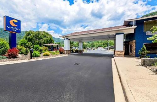 Maggie Valley Hotel | Comfort Inn near Great Smoky Mountain National Park