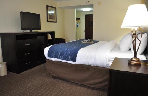 Oak Ridge Hotel | Comfort Inn Oak Ridge - Knoxville