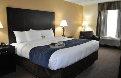 Oak Ridge Hotel | Comfort Inn Oak Ridge - Knoxville