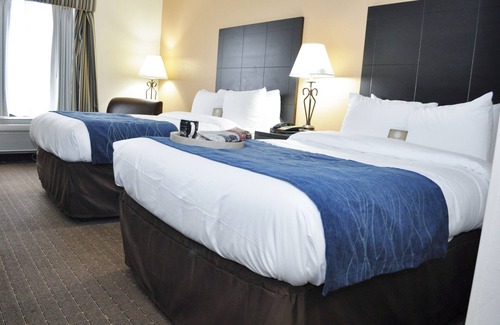 Oak Ridge Hotel | Comfort Inn Oak Ridge - Knoxville