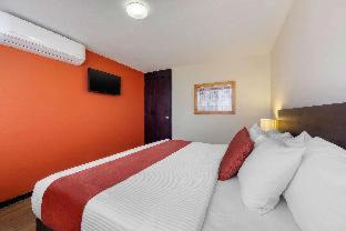 San Luis Potosí Hotel | Comfort Inn San Luis Potosi