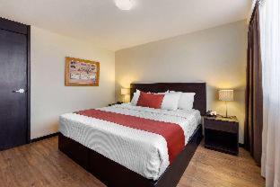 San Luis Potosí Hotel | Comfort Inn San Luis Potosi