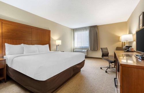 North Charleston Hotel | Comfort Inn & Suites Airport Convention Center
