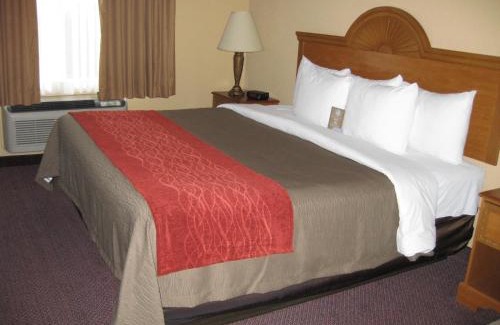 Fredericksburg Hotel | Comfort Inn & Suites and Suites Fredericksburg