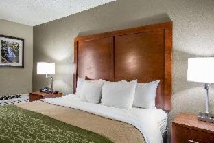Pigeon Forge Hotel | Comfort Inn & Suites at Dollywood Lane