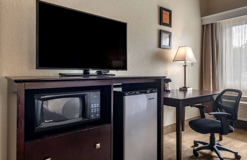 DeLand Hotel | Comfort Inn & Suites DeLand - near University