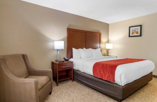 Macon Hotel | Comfort Inn & Suites Macon North I-75