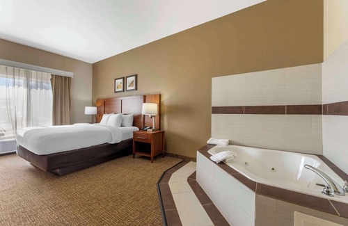 Porter Hotel | Comfort Inn & Suites Porter near Indiana Dunes