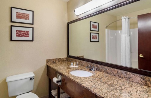 Suwanee Hotel | Comfort Inn & Suites Suwanee - Sugarloaf