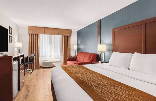 Downtown Vancouver Hotel | Comfort Inn & Suites Vancouver Downtown City Center
