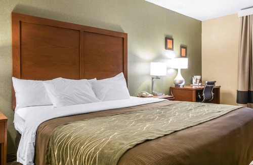 Winchester Hotel | Comfort Inn