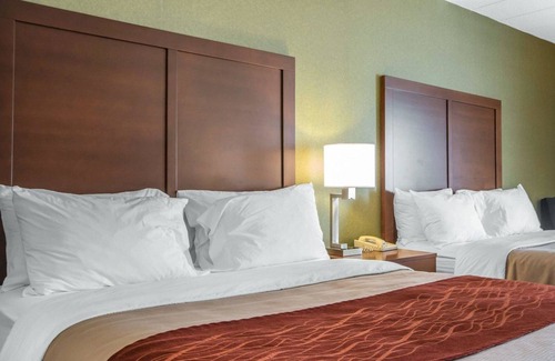 Winchester Hotel | Comfort Inn