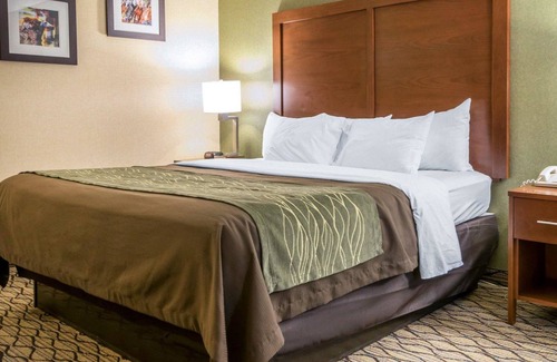 Winchester Hotel | Comfort Inn