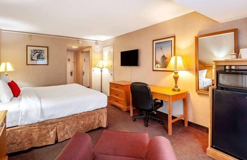 Radnor - Fort Myer Heights Casa | Comfort Meets Affordability at Red Lion Hotel Rosslyn Iwo Jima! Pets Allowed!