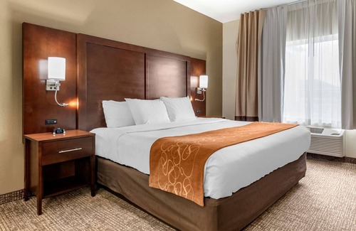 Auburn Hotel | Comfort Suites Auburn near I-69