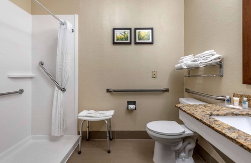 Auburn Hotel | Comfort Suites Auburn near I-69