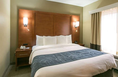 McNeil Hotel | Comfort Suites Austin NW Lakeline