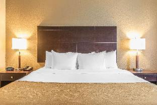Fort Wayne Hotel | Comfort Suites Fort Wayne - Dupont