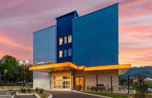 Gatlinburg Hotel | Comfort Suites Gatlinburg Downtown-Convention Center