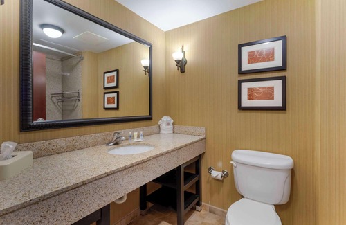 Kodak Hotel | Comfort Suites Kodak Sevierville