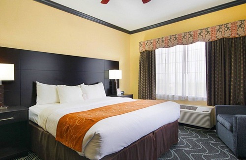Rowlett Hotel | Comfort Suites Lake Ray Hubbard