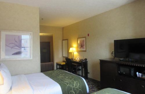 Nashville Hotel | Comfort Suites Nashville near Percy Priest Lake