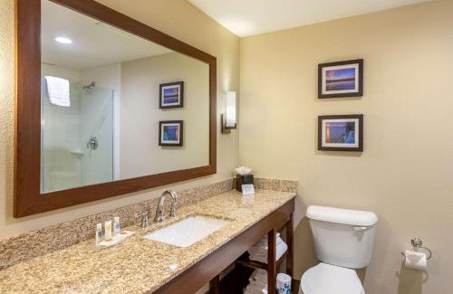 Sun Valley Hotel | Comfort Suites Near Denver Downtown