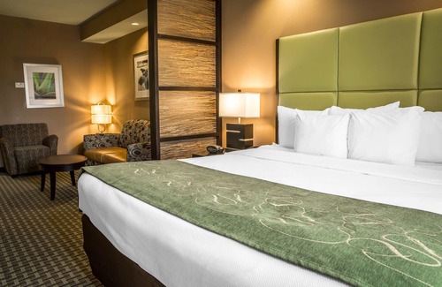 James City Hotel | Comfort Suites New Bern near Cherry Point
