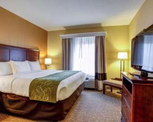 Fellowship Hotel | Comfort Suites Ocala North