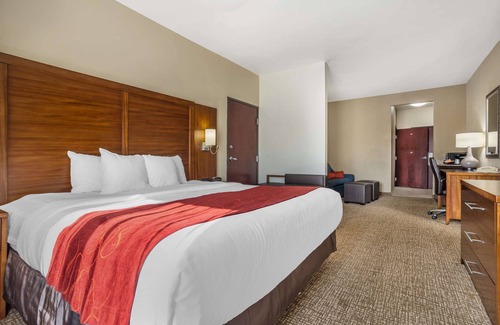 Spring Hotel | Comfort Suites Old Town Spring