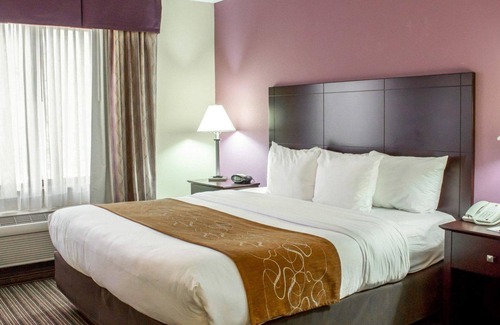 Sanford Hotel | Comfort Suites Sanford