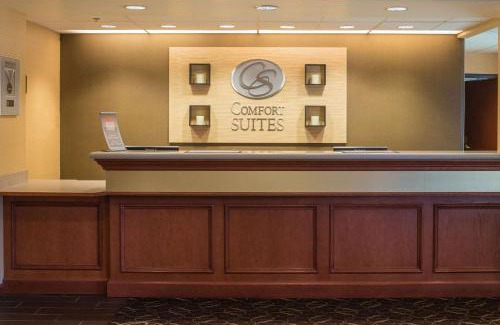 Springfield Hotel | Comfort Suites Springfield-Eugene
