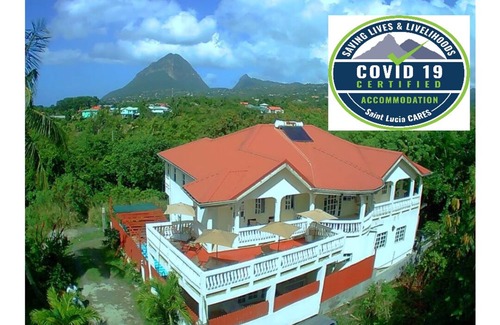 Choiseul Apartamento | La experiencia local - Serenidad