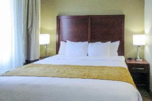 Clarksville Hotel | Comfort Suites