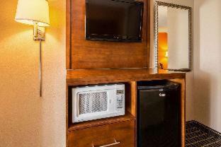 Panama City Beach Hotel | Comfort Suites