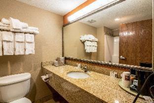 Panama City Beach Hotel | Comfort Suites