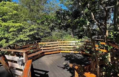 Mill Spring Cabina | Comfortable cabin in the mountains of North Carolina, located near TIEC.