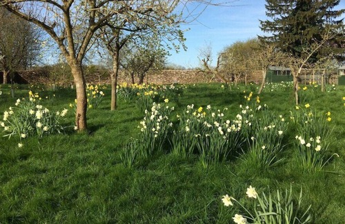 Tetbury Cabaña | Comfortable home in lovely Cotswold village, Area of Outstanding Natural Beauty