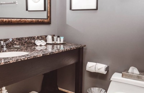Zion Hotel | Comfortable, Pet-Friendly Stay w/ Firepits, Gym & Garden Pergolas l Four Rooms