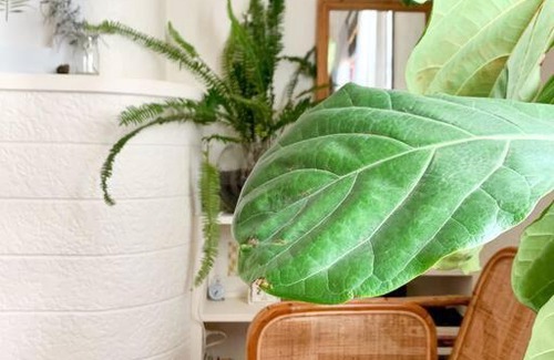 Petersham Apartamento | Comfortable Studio Gem in the heart of Petersham