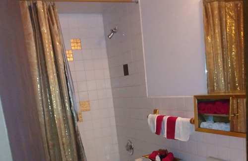 Lansing Condominio | Comfortable vibrant condo. 15 minutes to Chicago